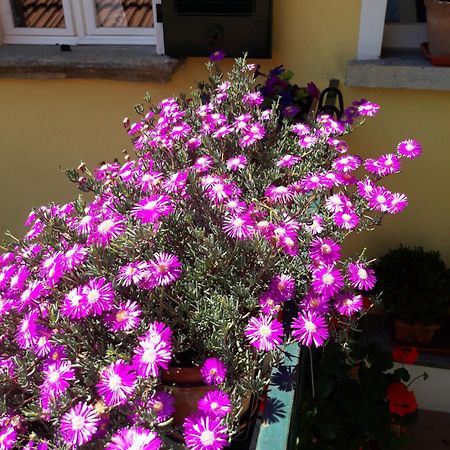 Apartament Casa Azzurra Menaggio Zewnętrze zdjęcie